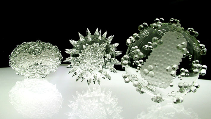 Viruses_Lukejerram